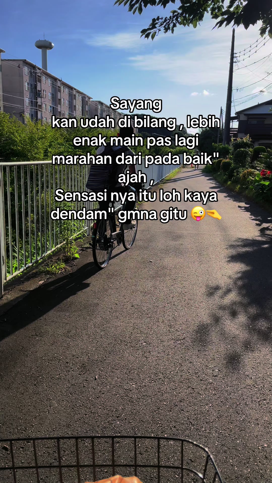 @iePipin🌵