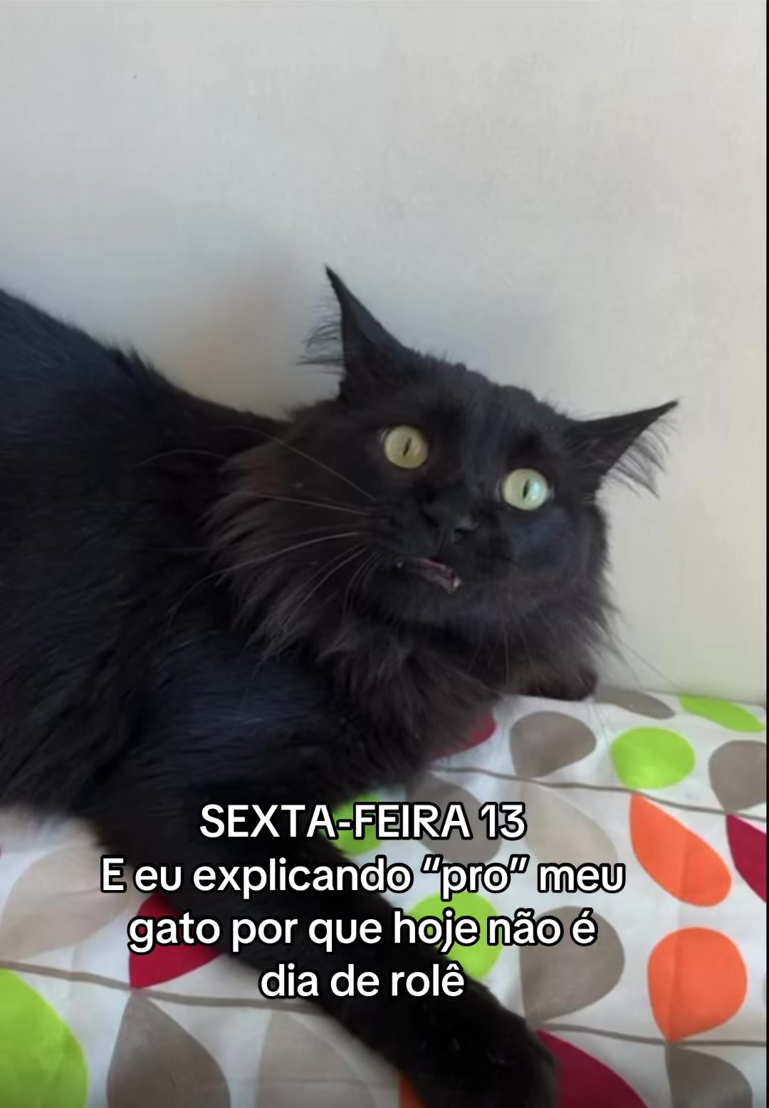 @Cristiane Ponciano