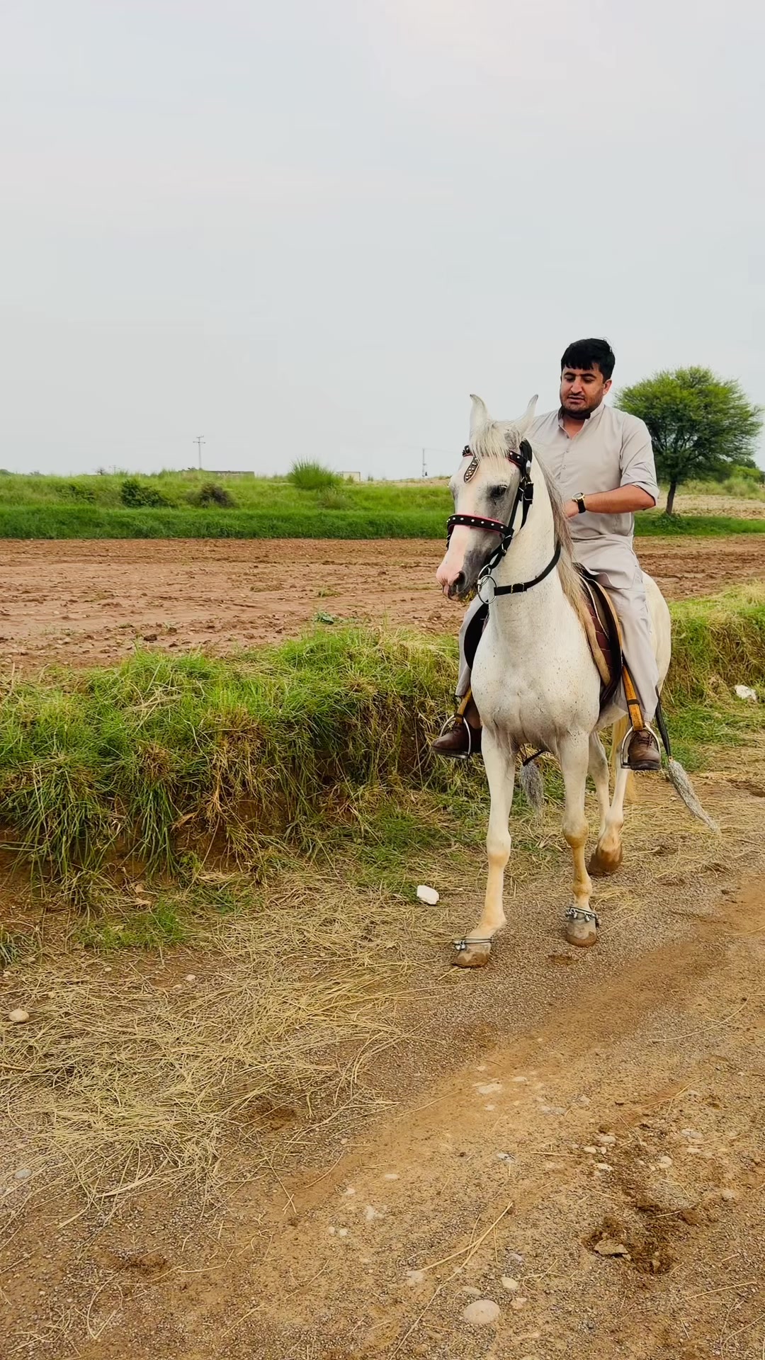 @Mukhtar Khan kakar 007