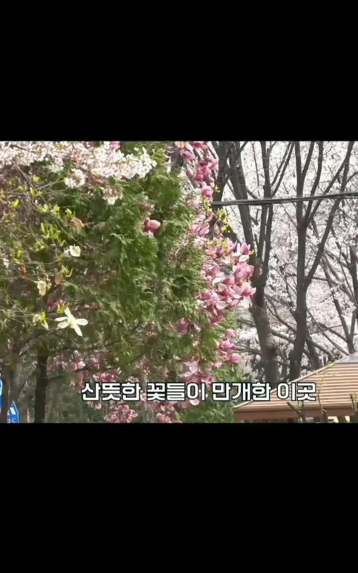 @𝓘sap ୨୧ 𝓨ohan