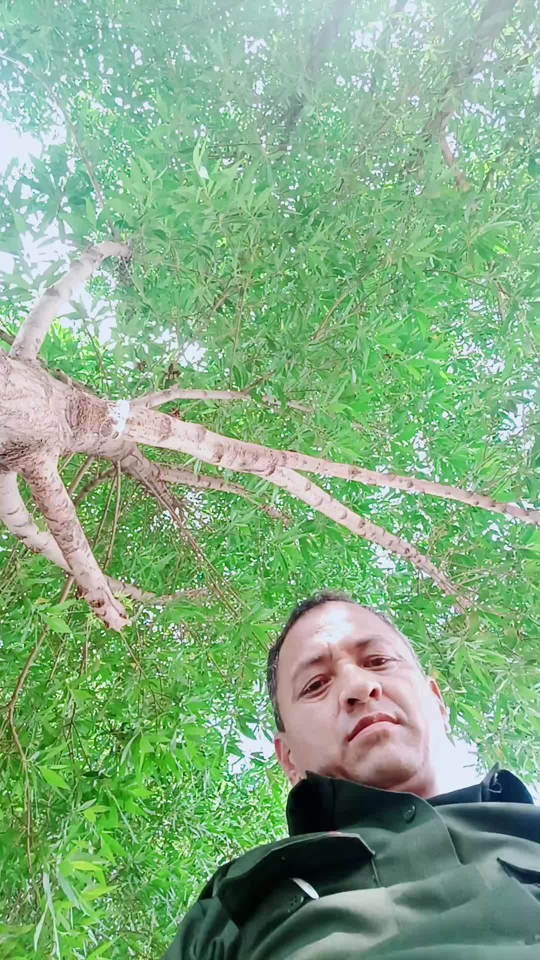@bishnu basnet 229