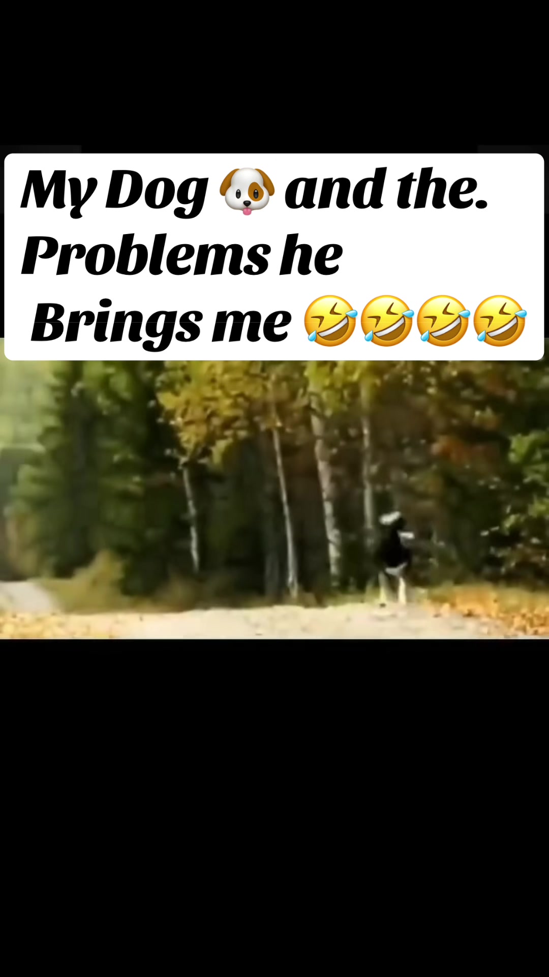@BetterBGoodlol