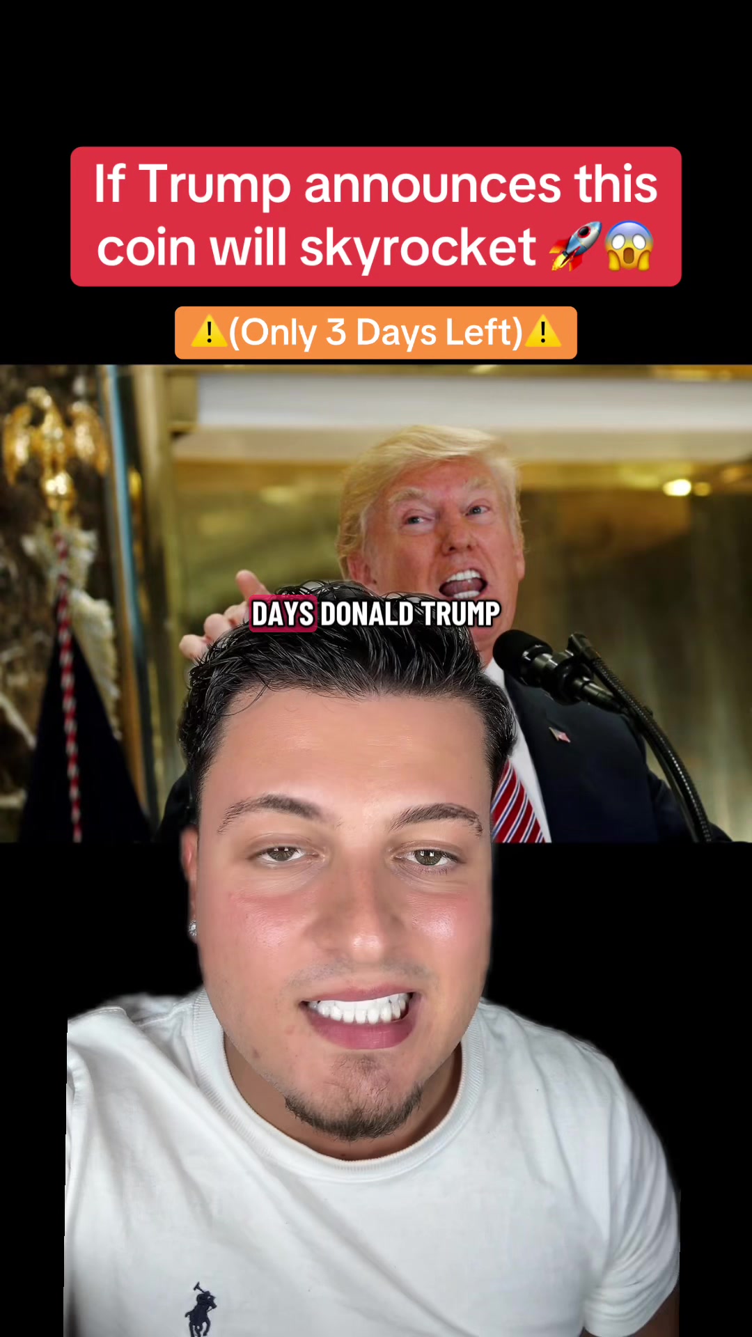 @cryptotalon