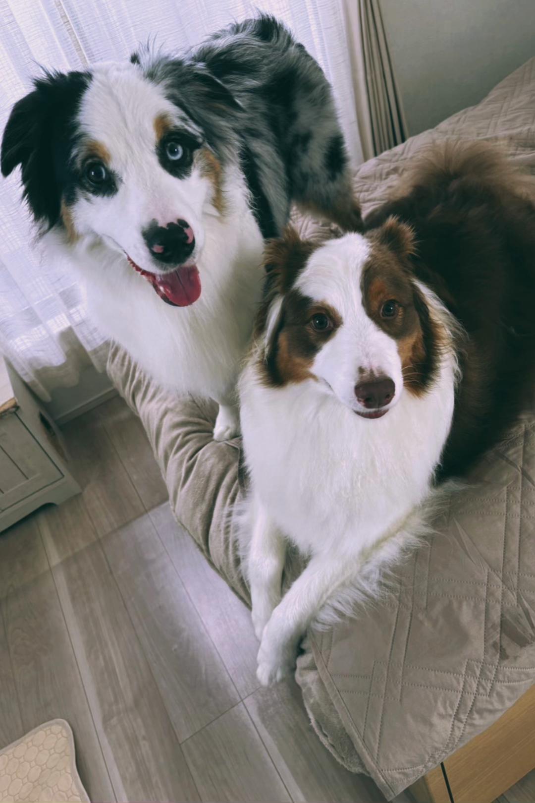 @サン&タマ