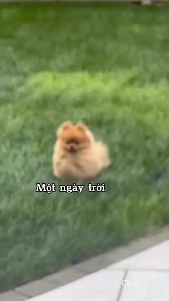 @llllllllllllllllllllllllllllll