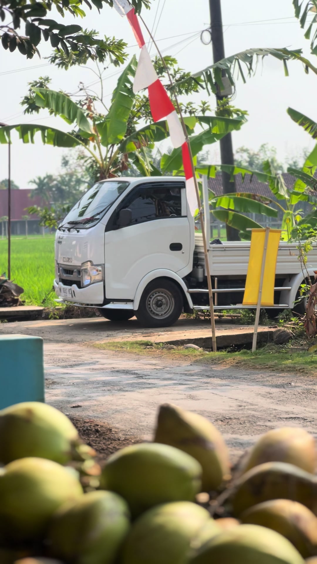 @dodonihbosss
