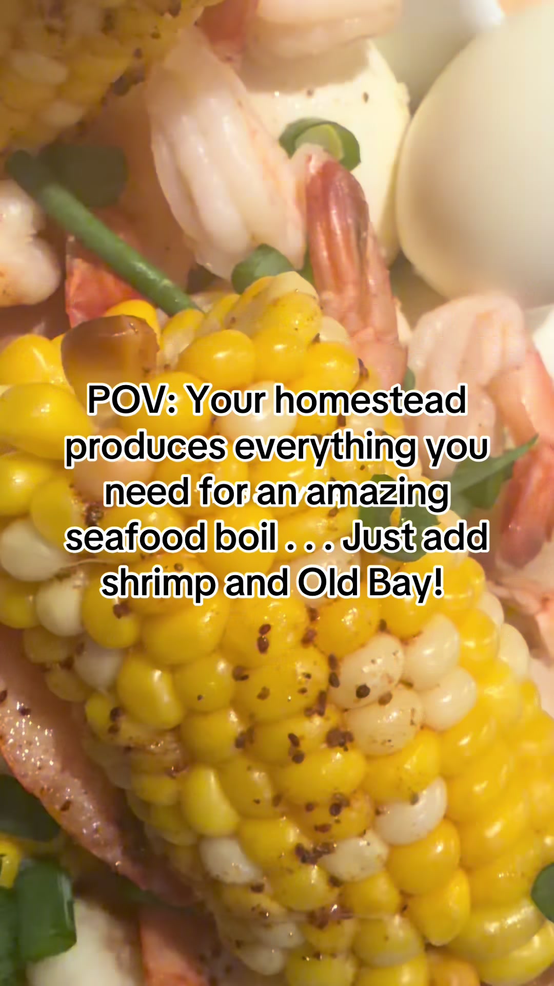 @Resistance Homesteaders