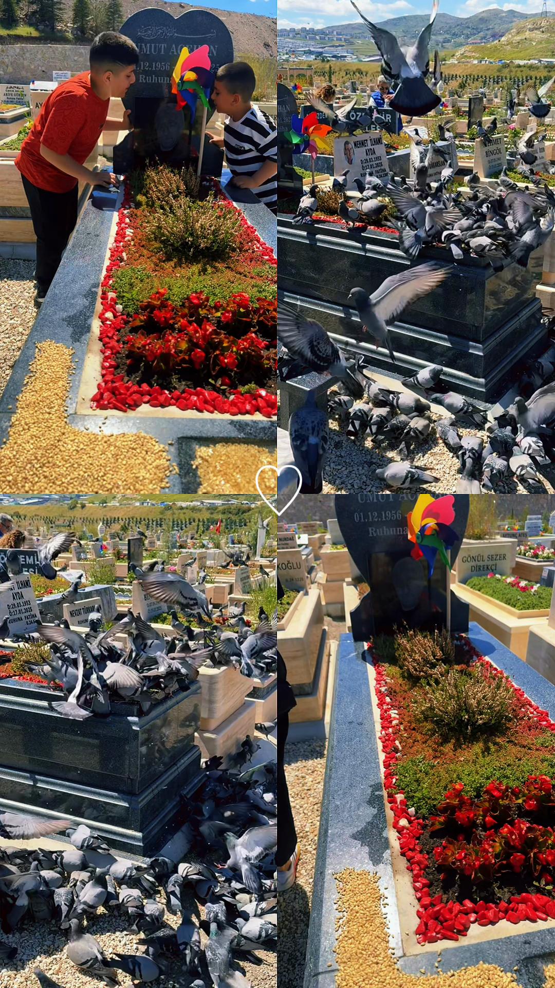@Gönül Acehan