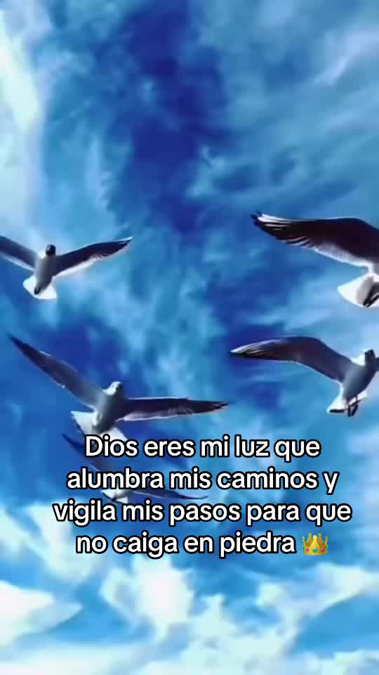 @Dee Enloe oficial