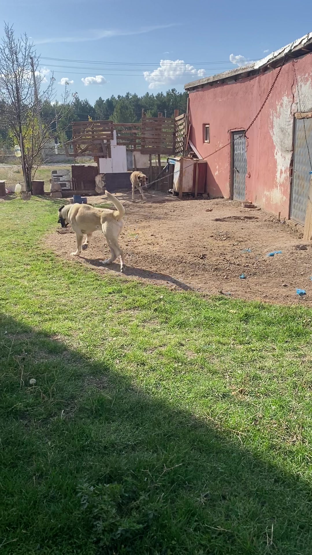 @Sadık Makascı