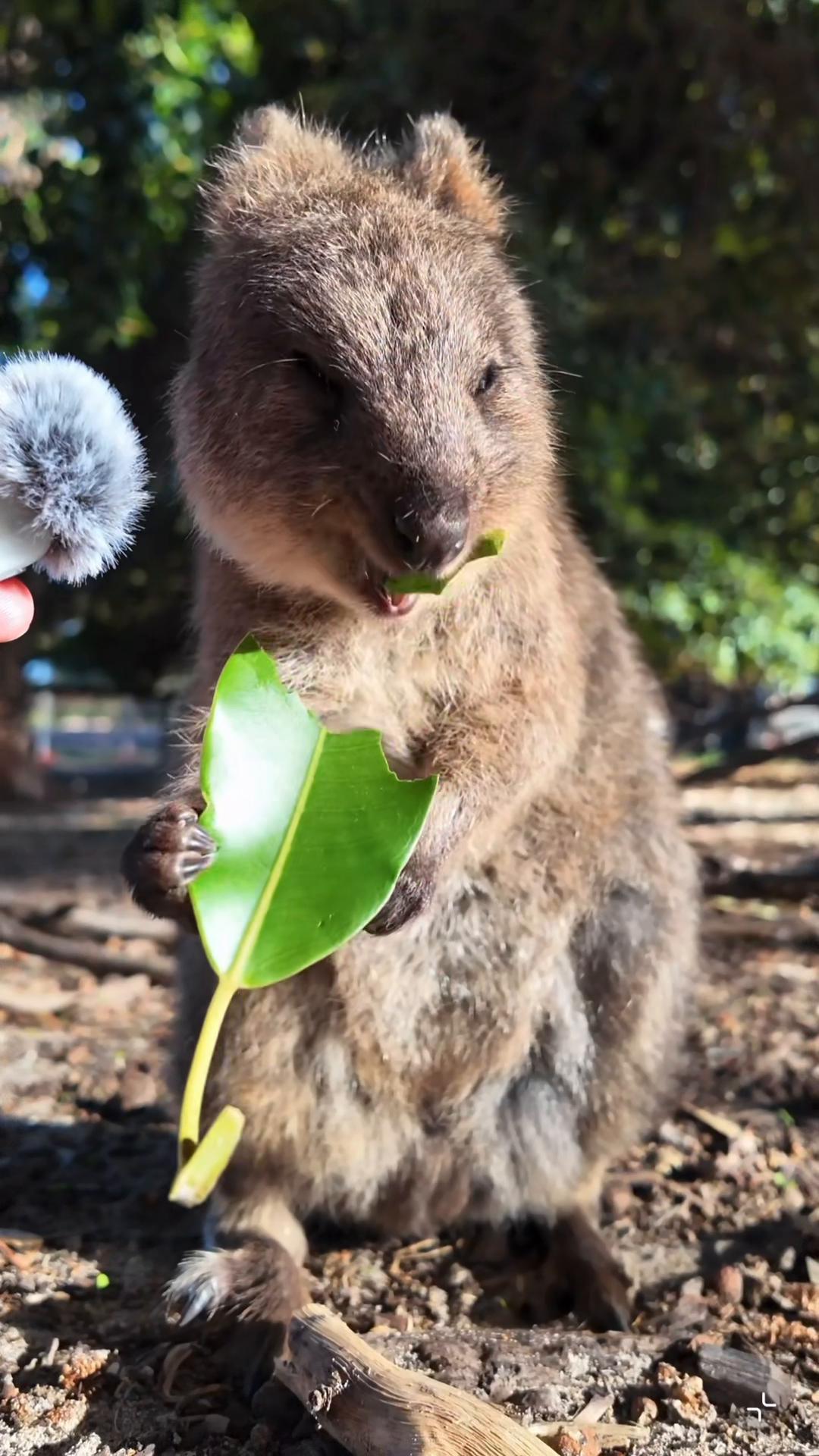 @My Daily Dose of Aww