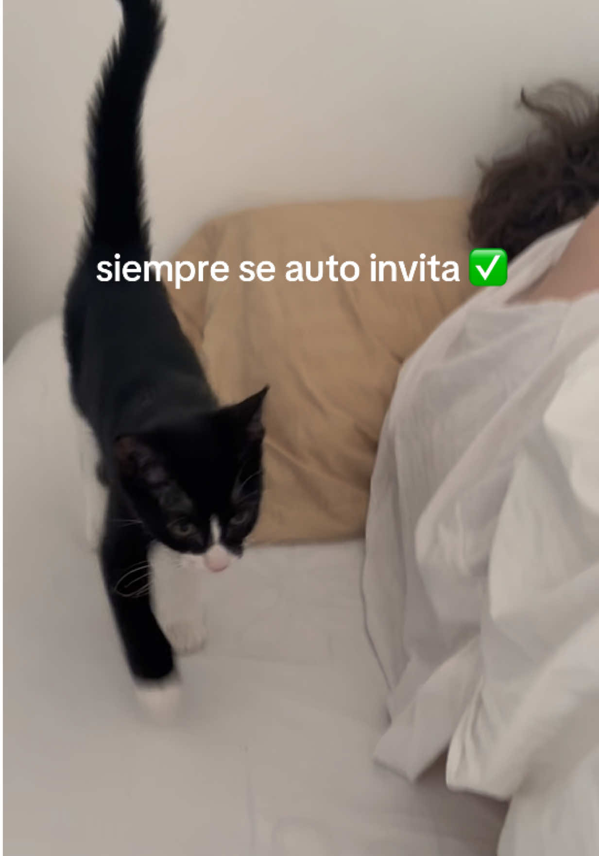 @renn