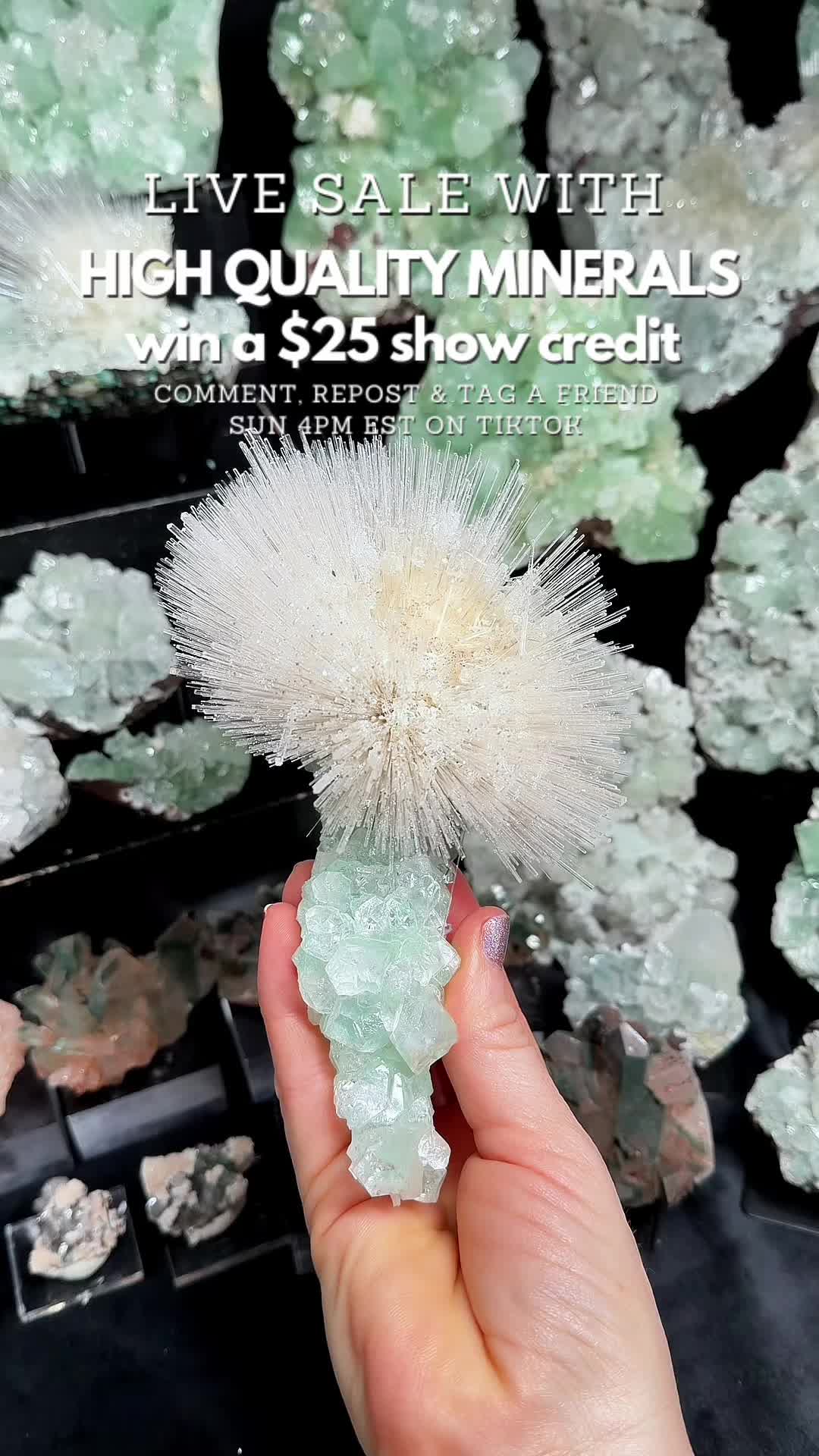 @Crystal Live Emporium✨Natalie