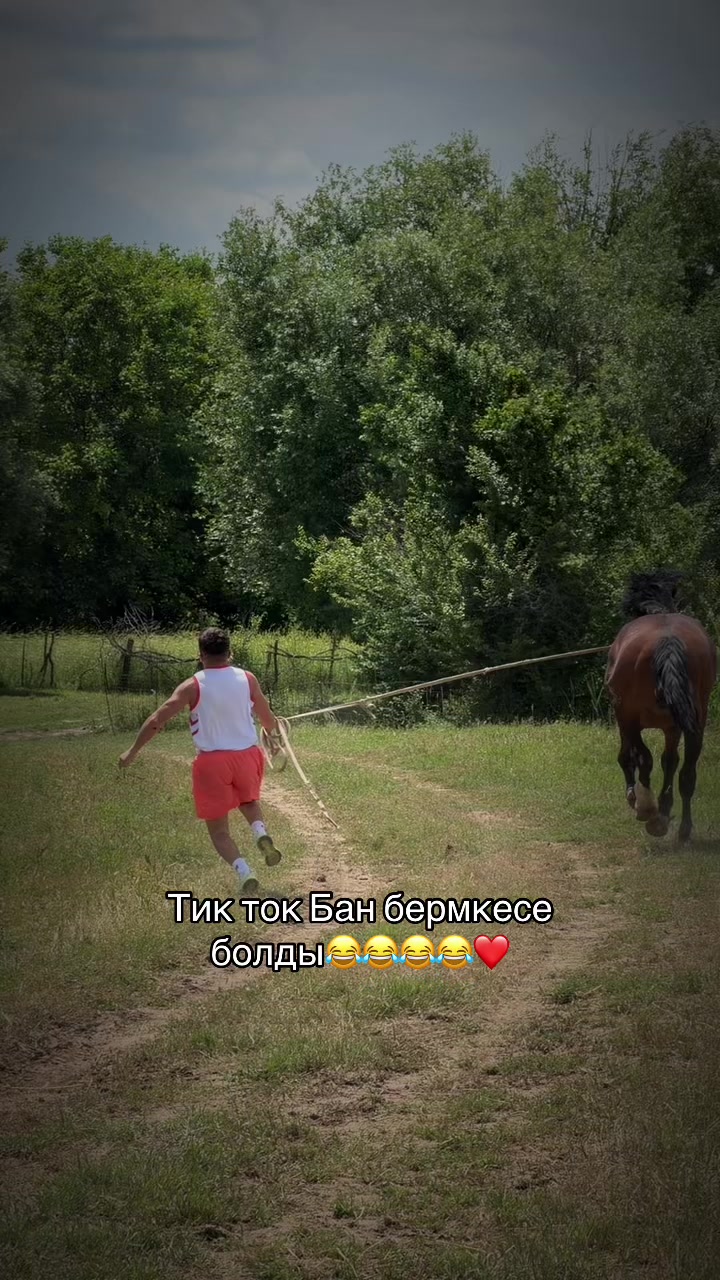@erekee.turkey