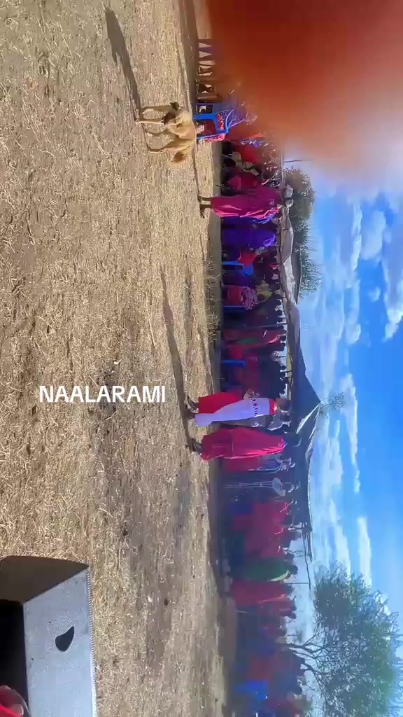 @Nyangulo _janja