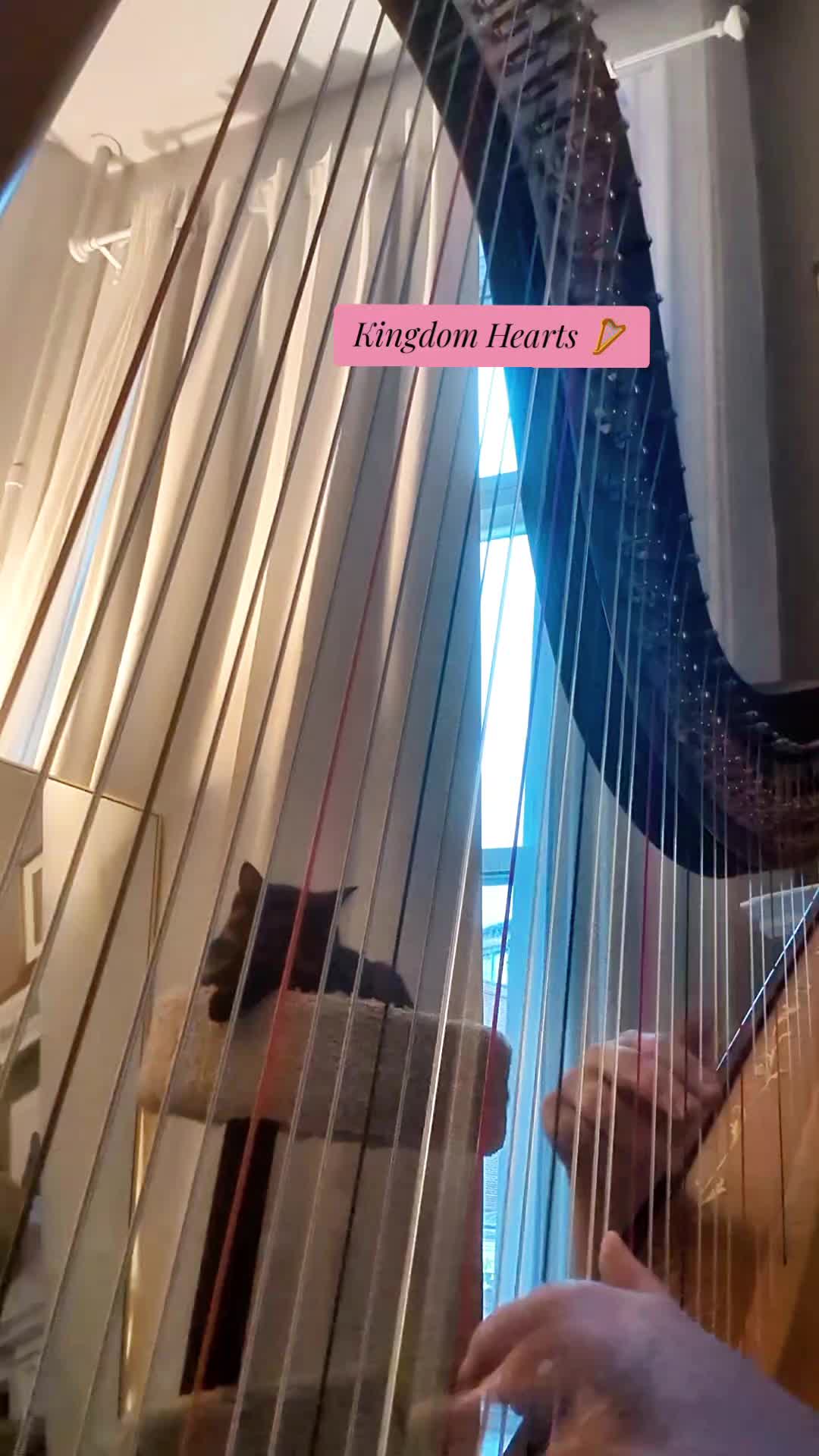 @Harpist Vanessa