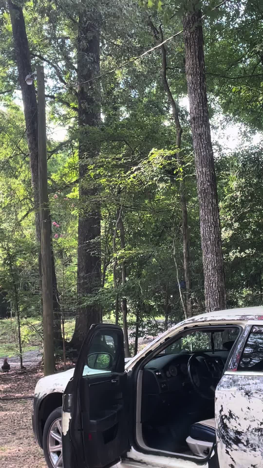 @That.one.Chrysler.300