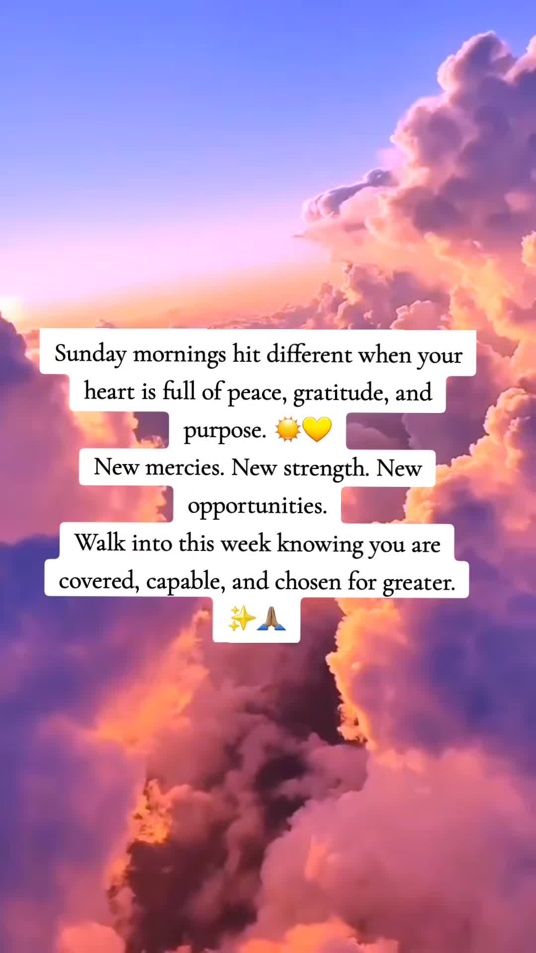 @❤️ Denise Brown ❤️