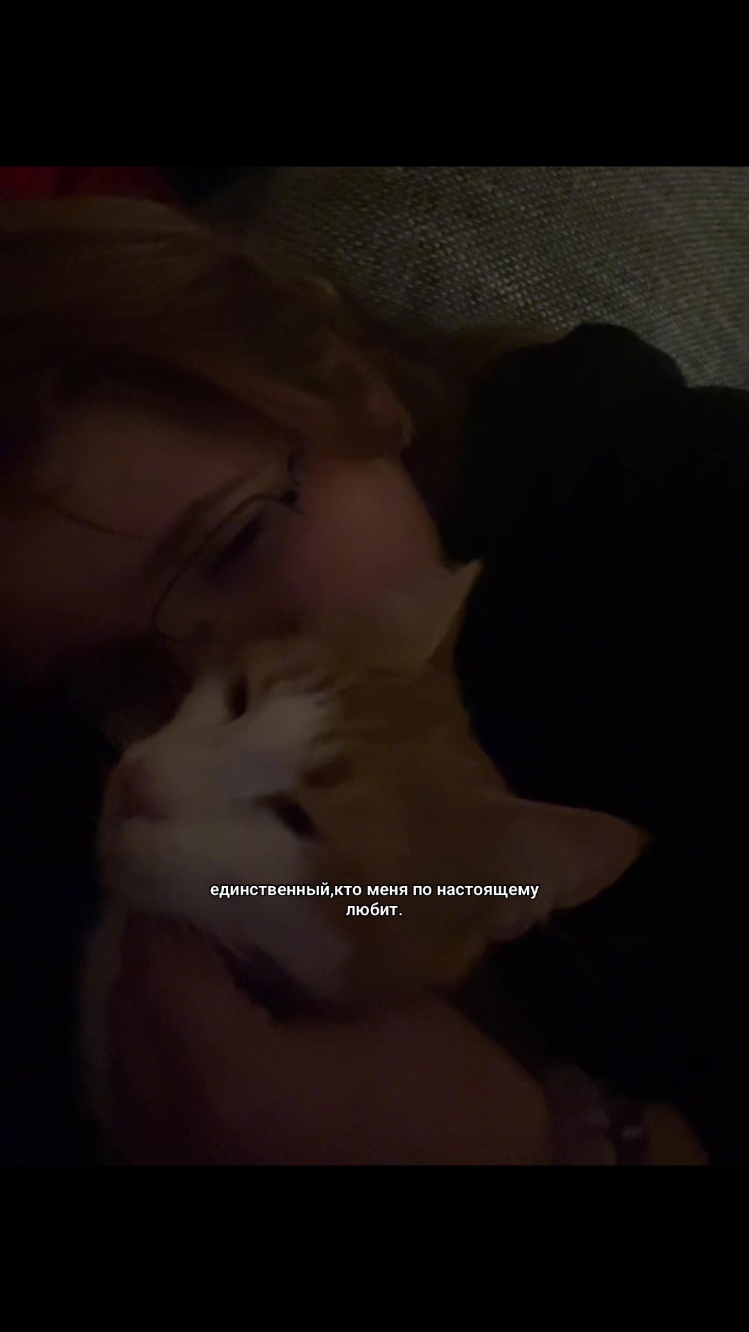 @🐈&zwj;⬛