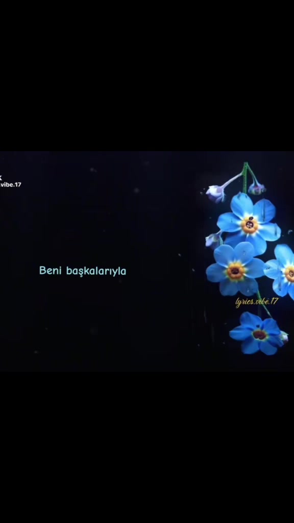 @✨𓆩Ceylan𓆪✨