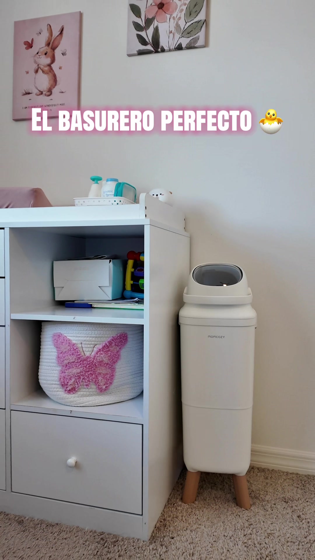 @bambideals