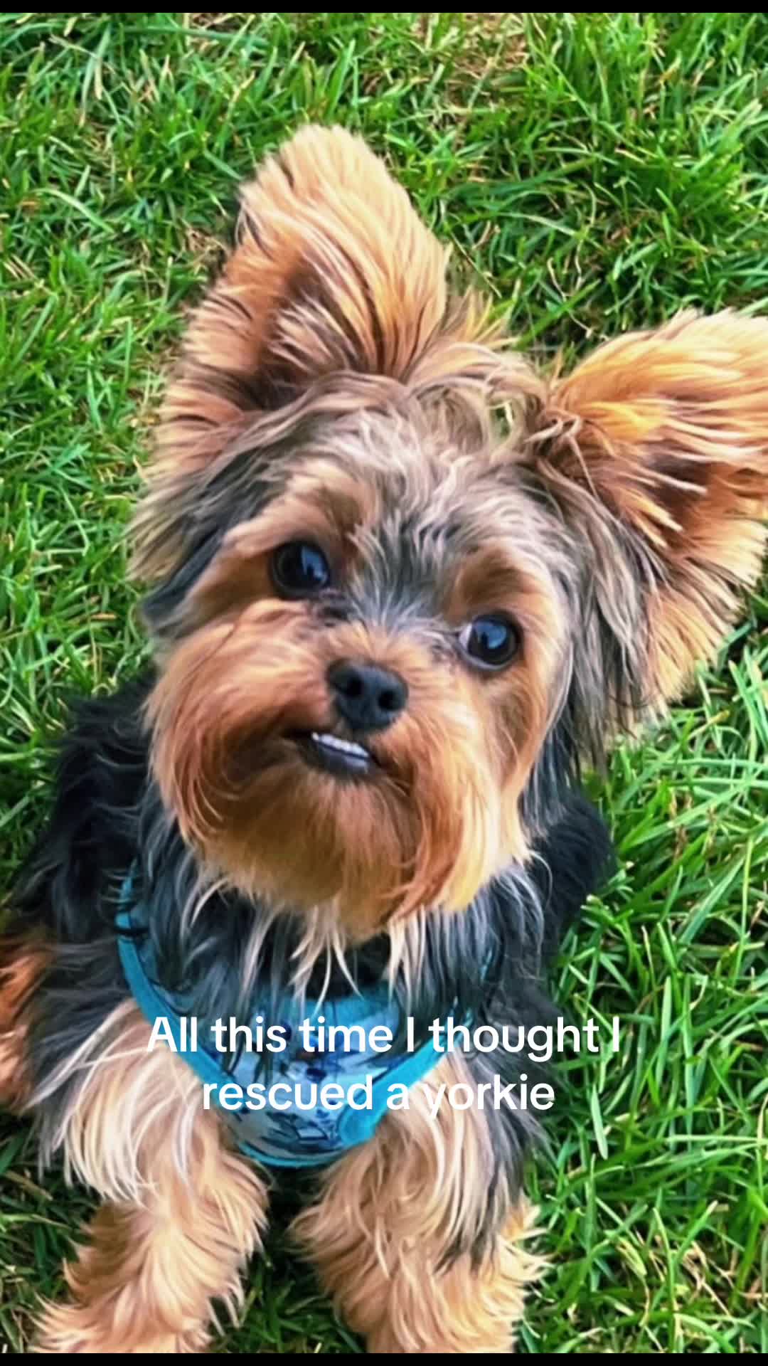 @Debbie Ferguson McKenzie