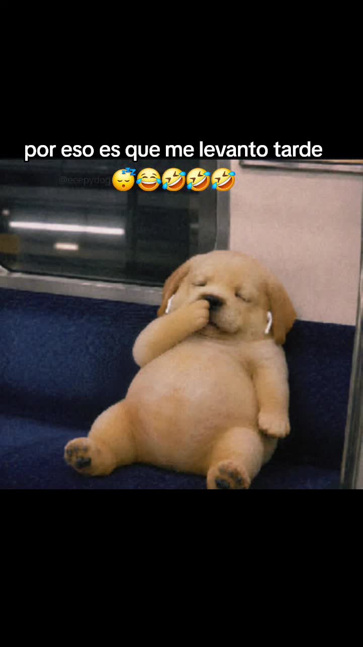 @🎶🎵🎧LUNA🎶🎵🎧