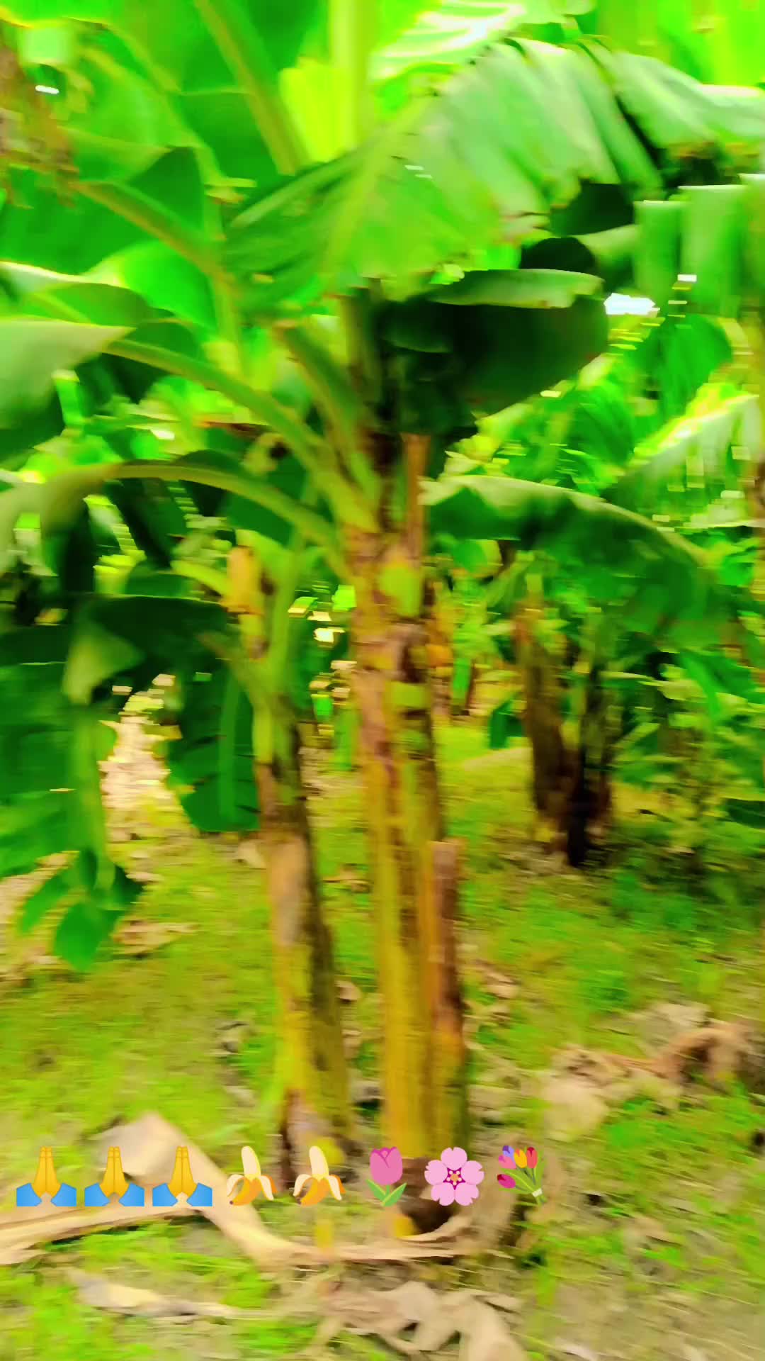 @harjikumar159