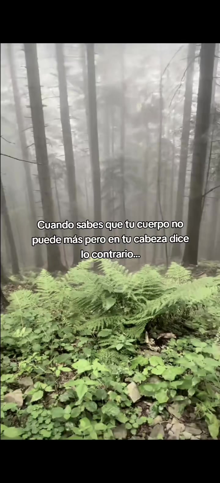 @🖤López🥷