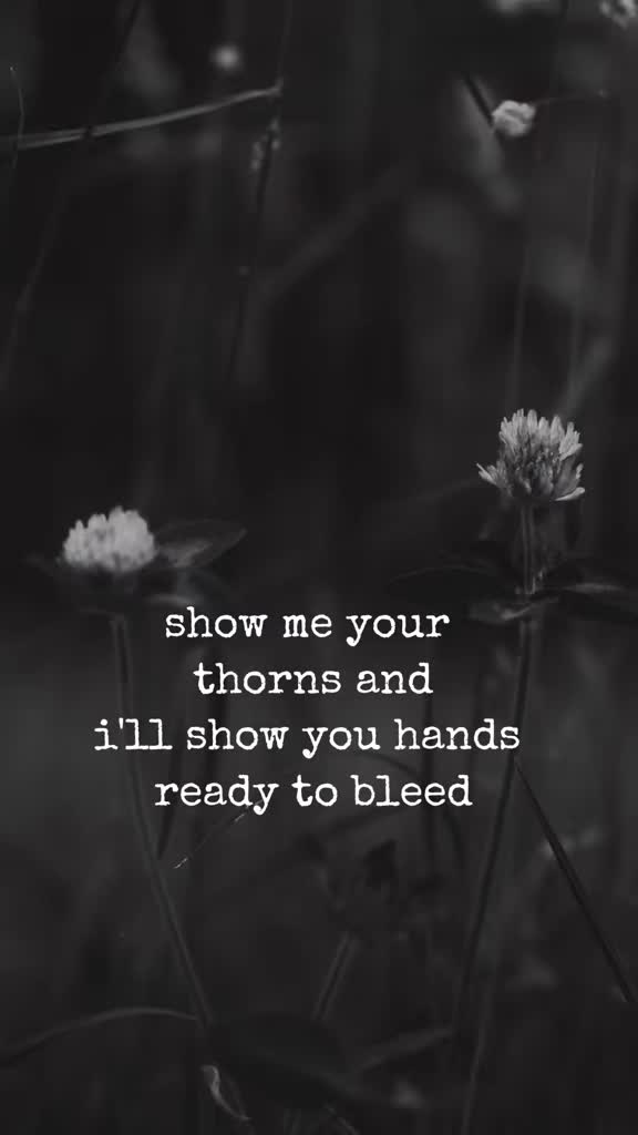 @Aaron🦊