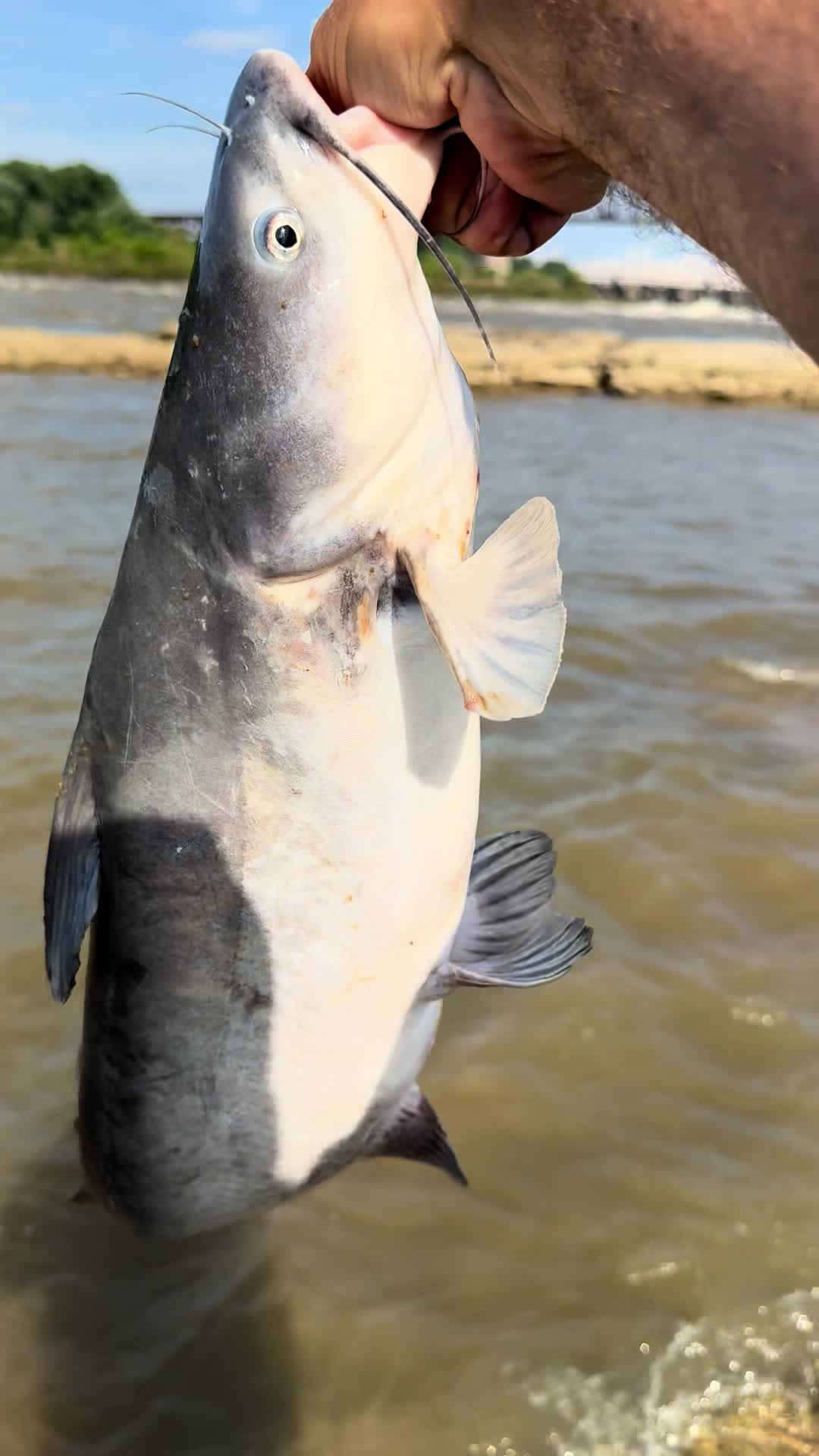 @Kentucky Fishing