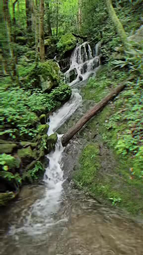 @Kat_💚the💦nature🌿lover💙