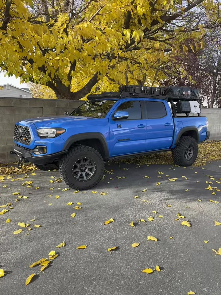 @Silverfox_yota