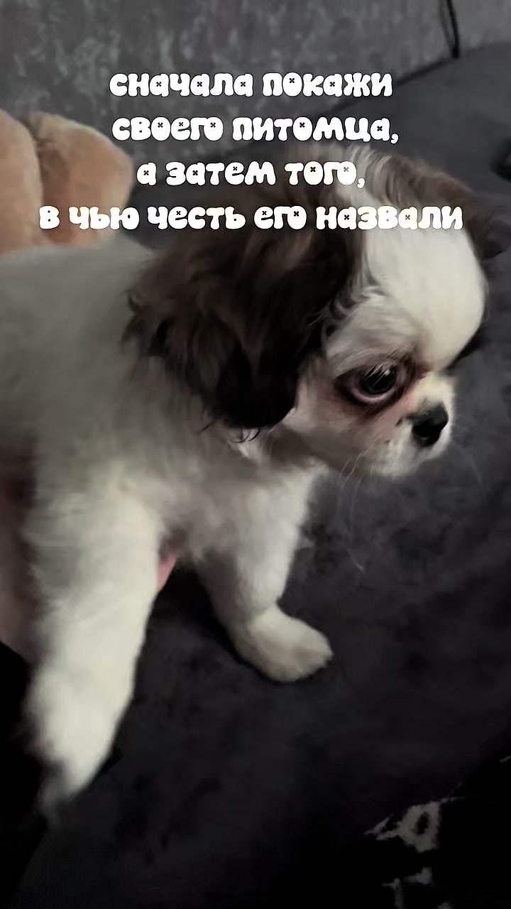 @катастрофа