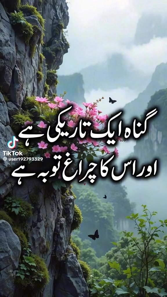 @Shumaila Akhtar