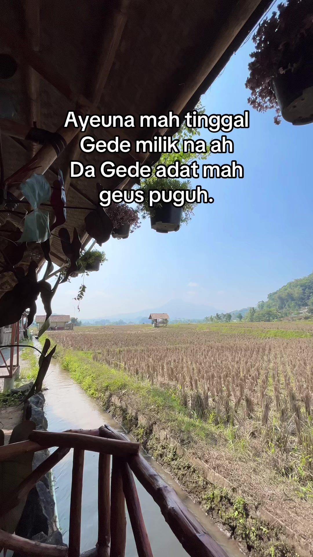 @Agy