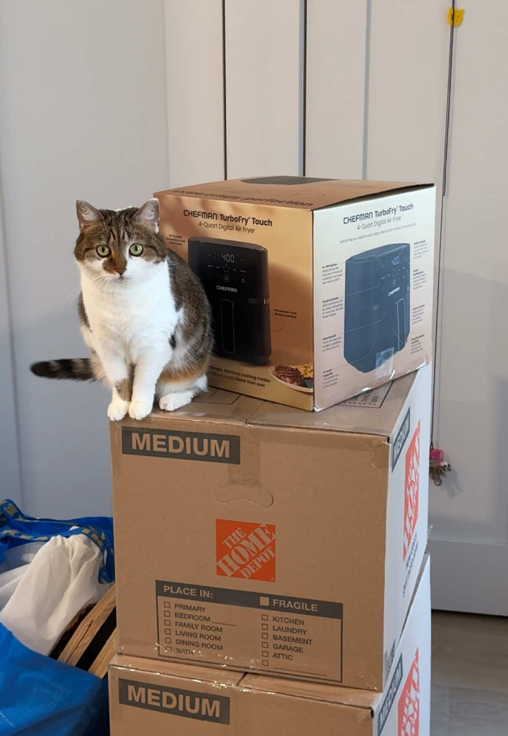 @Suki Purrs