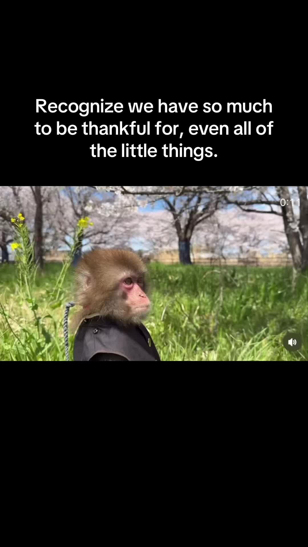 @Itsreal