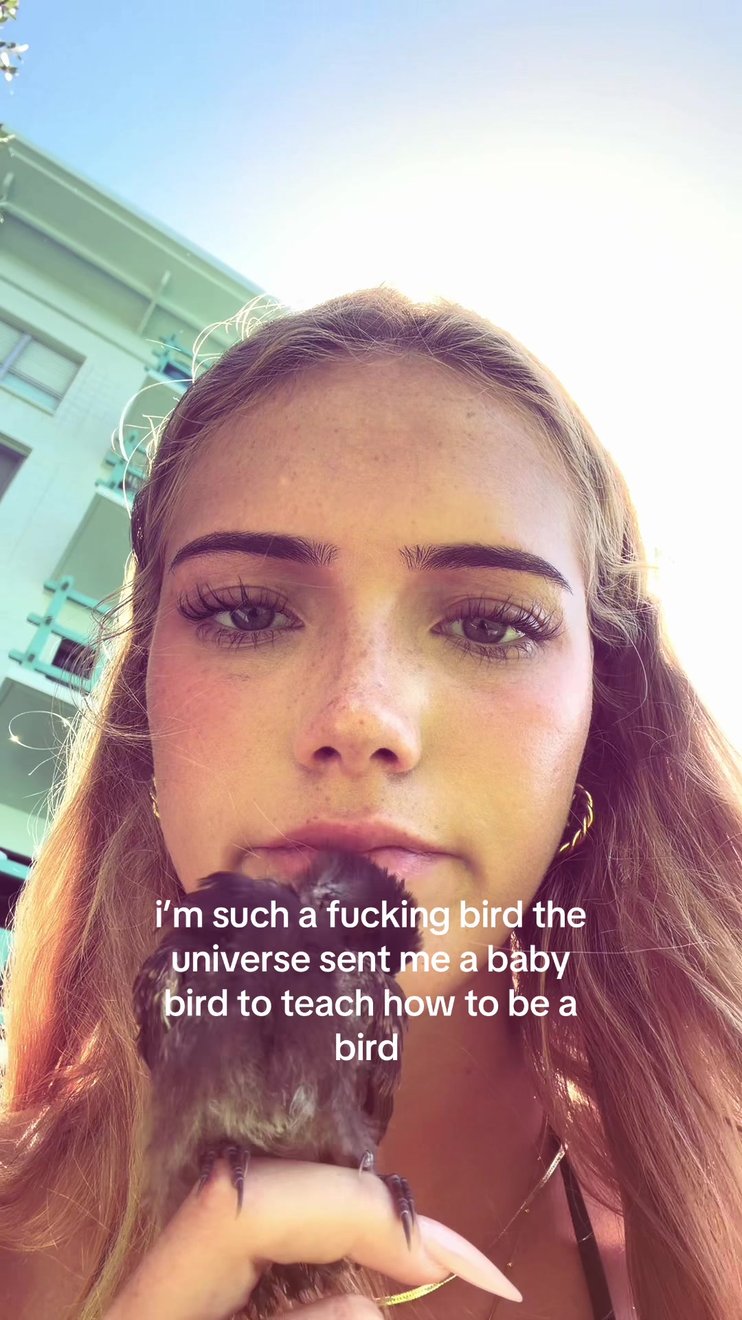 @Serena 🐒