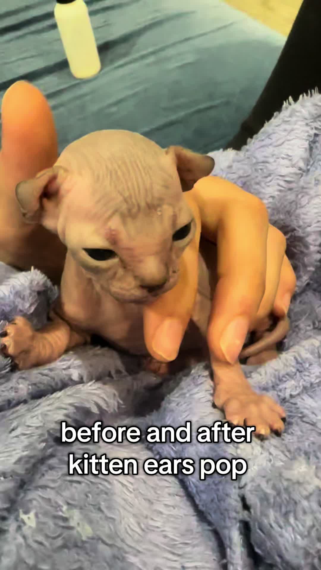 @famoussphynx