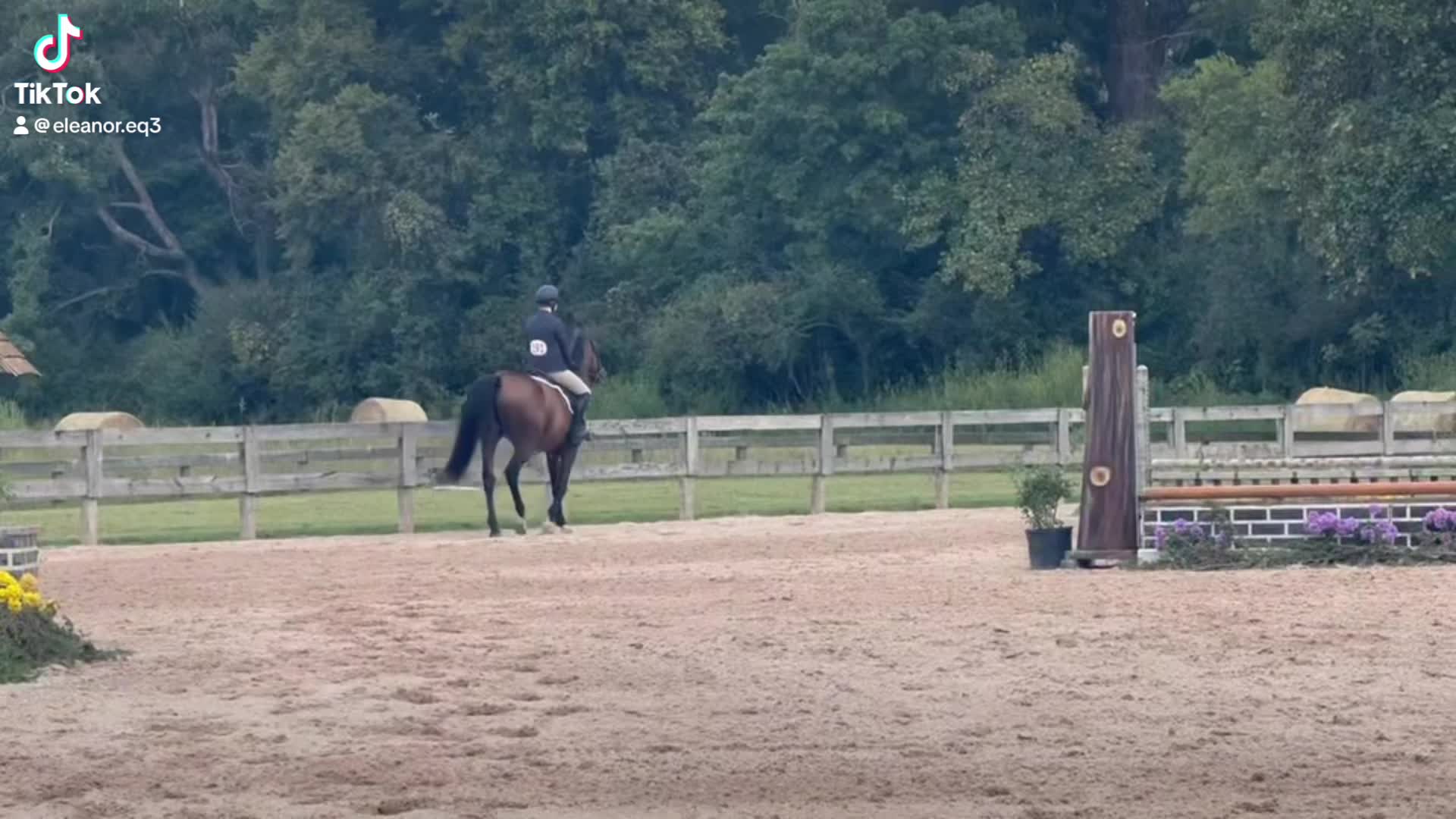 @Eleanor.eq
