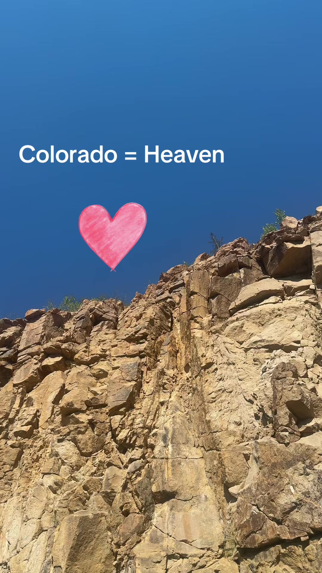 @charlettofcolorado ❌ ❌❌