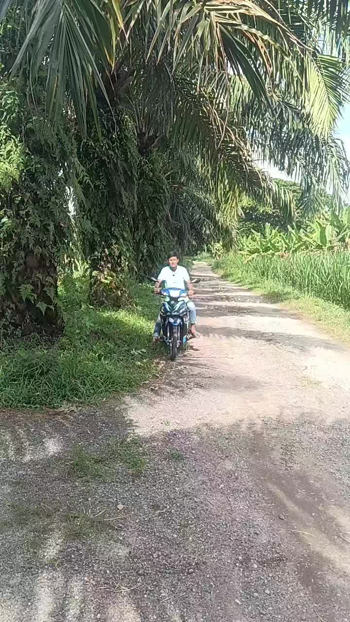 @Haflz Haflz