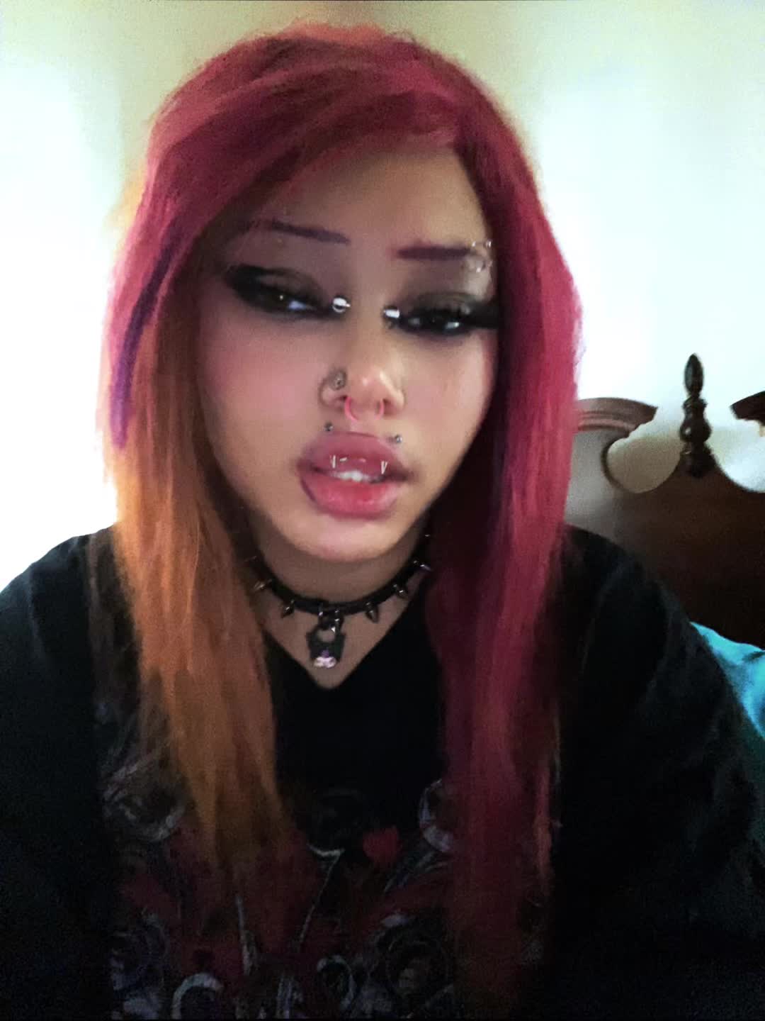 @๐๐ถ๐๐ฉท