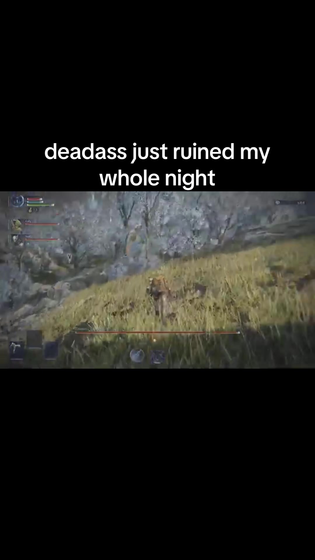 @koopaking