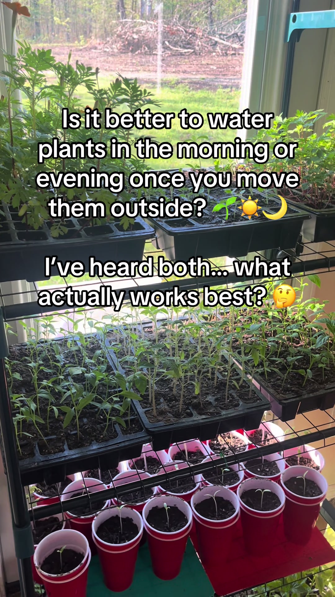 @probablyoverwatering