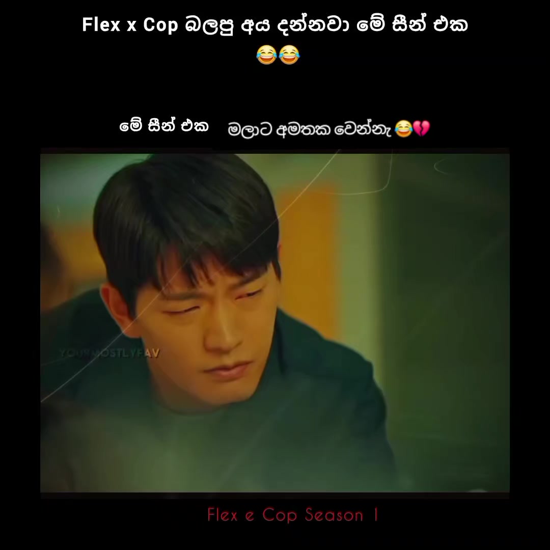 @Տ ᕼ ᗩ Տ ᕼ I 🎀 "