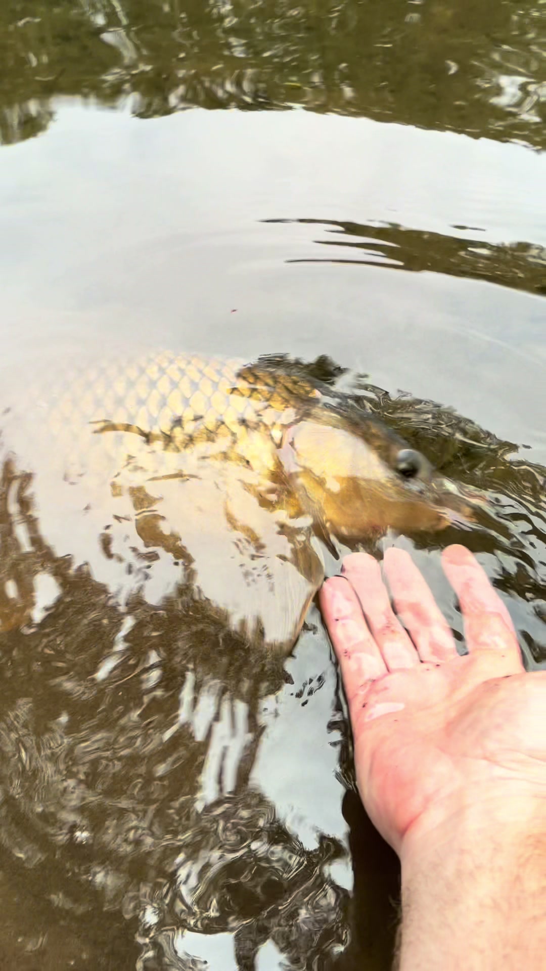 @Dunamis Angling