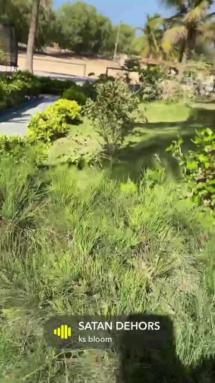 @siadiatta27🇸🇳