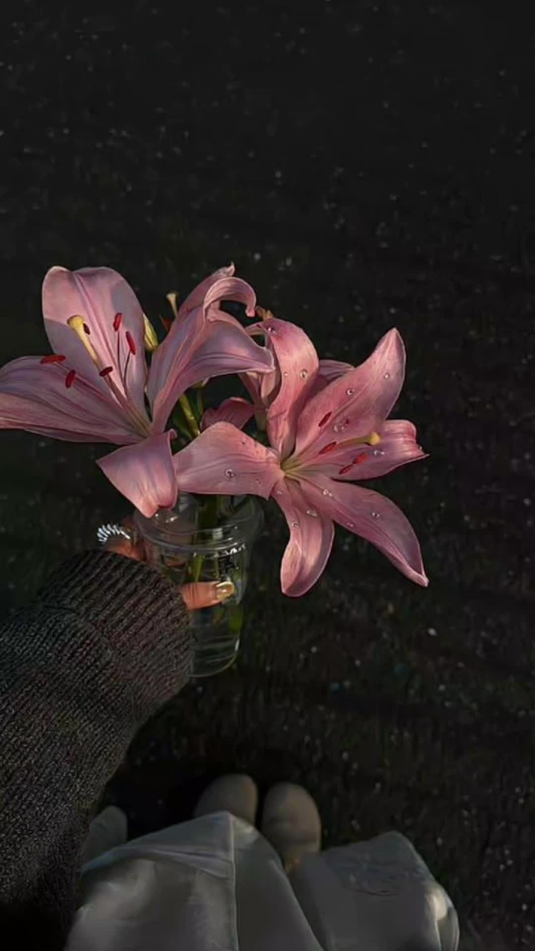@Siyah Peçe 🌷🕊